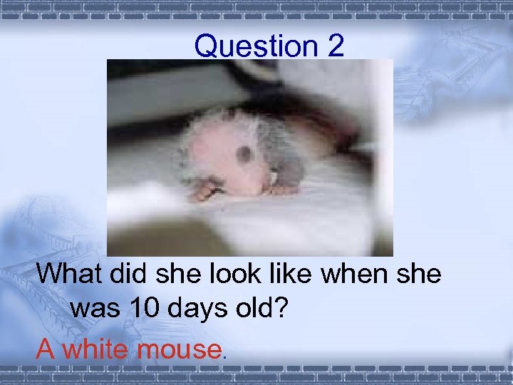 Question 2 What did she look like when she was 10 days old? A