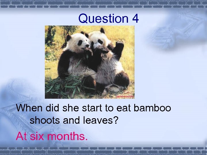 Question 4 When did she start to eat bamboo shoots and leaves? At six