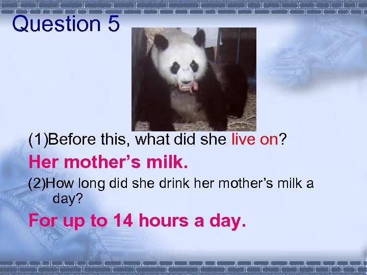 Question 5 (1)Before this, what did she live on? Her mother’s milk. (2)How long