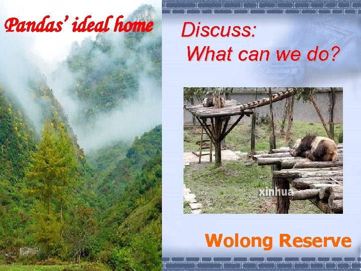 Pandas’ ideal home Discuss: What can we do? Wolong Reserve 