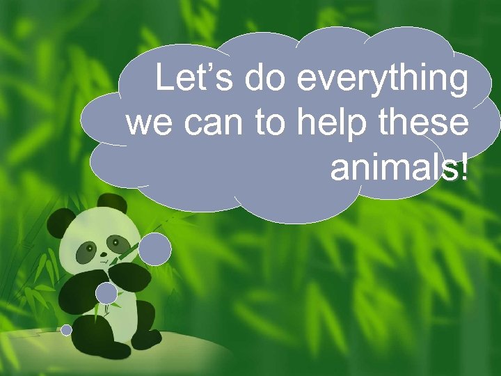 Let’s do everything we can to help these animals! 