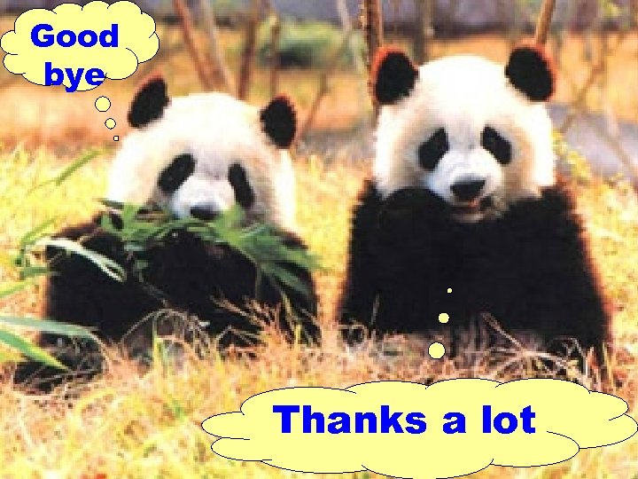 Good bye Thanks a lot 