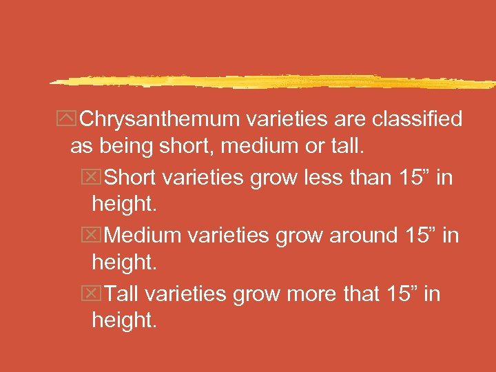 y. Chrysanthemum varieties are classified as being short, medium or tall. x. Short varieties
