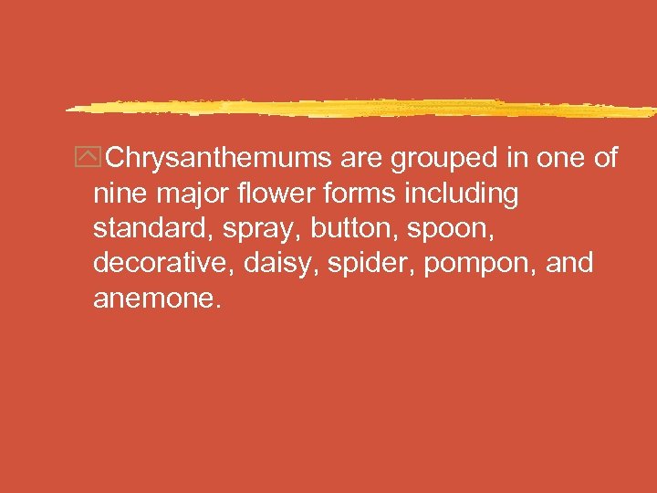 y. Chrysanthemums are grouped in one of nine major flower forms including standard, spray,