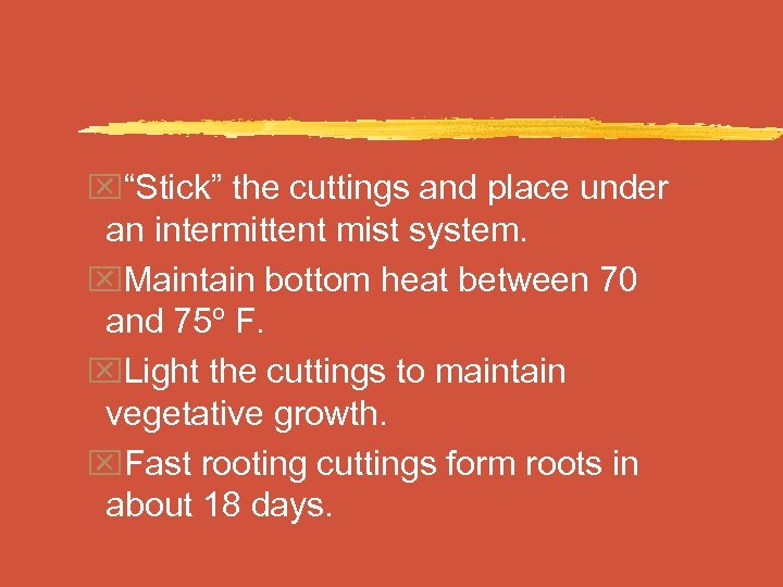 x“Stick” the cuttings and place under an intermittent mist system. x. Maintain bottom heat
