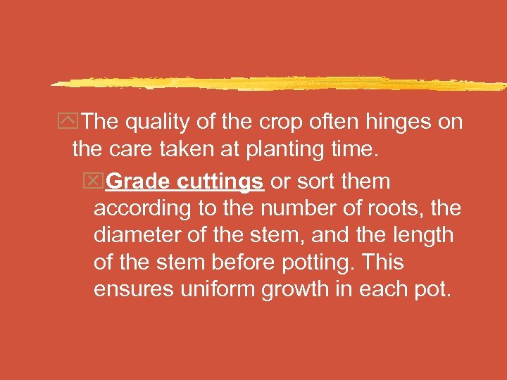 y. The quality of the crop often hinges on the care taken at planting