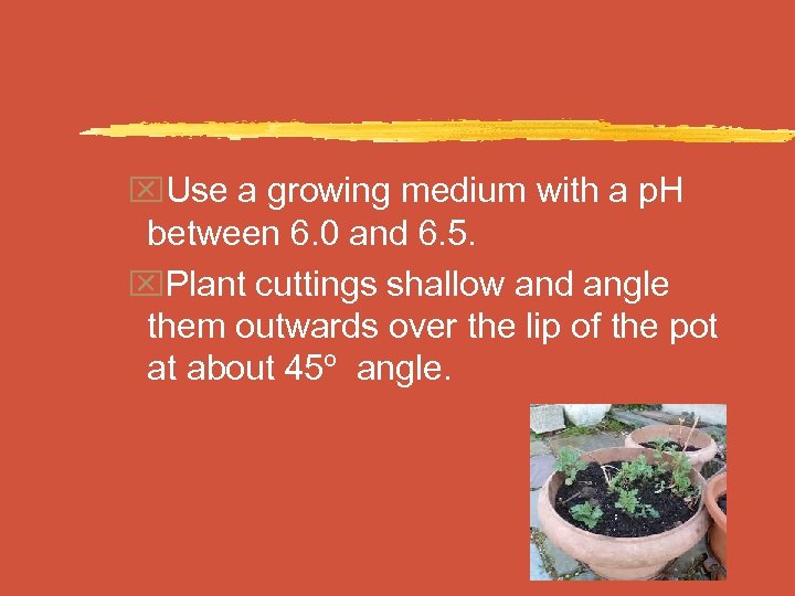x. Use a growing medium with a p. H between 6. 0 and 6.