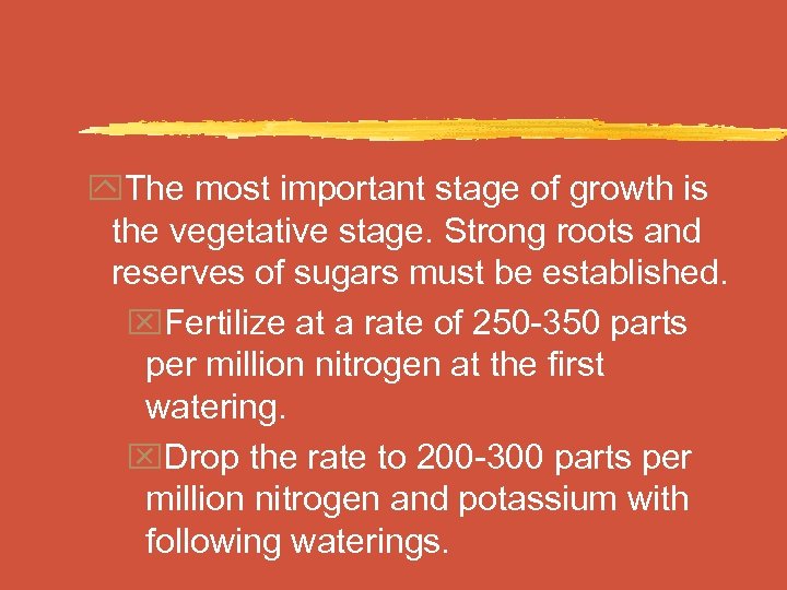 y. The most important stage of growth is the vegetative stage. Strong roots and