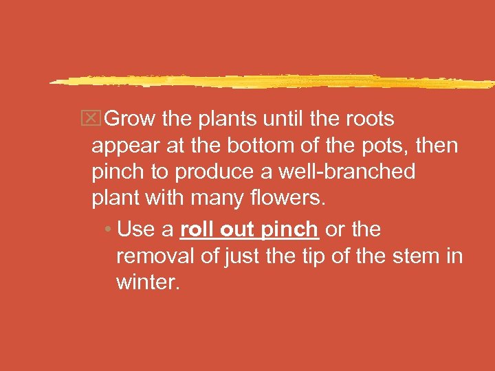x. Grow the plants until the roots appear at the bottom of the pots,