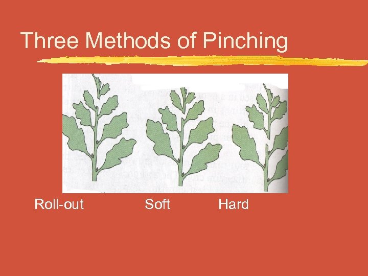 Three Methods of Pinching Roll-out Soft Hard 