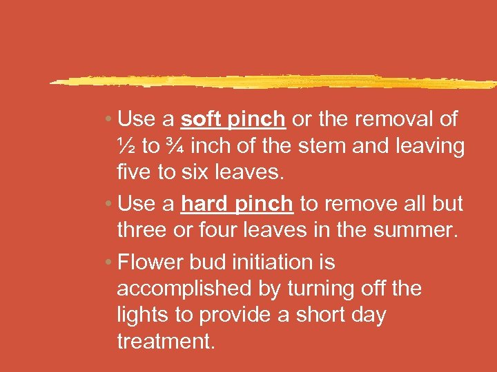  • Use a soft pinch or the removal of ½ to ¾ inch