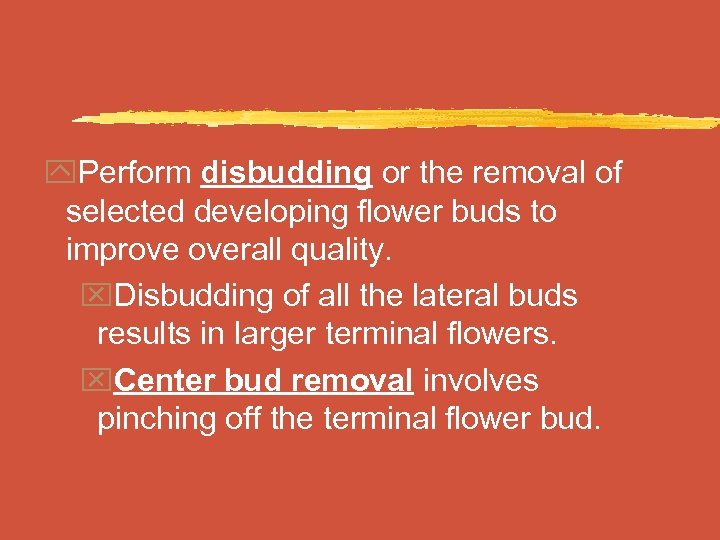 y. Perform disbudding or the removal of selected developing flower buds to improve overall