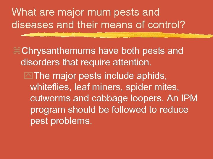 What are major mum pests and diseases and their means of control? z. Chrysanthemums