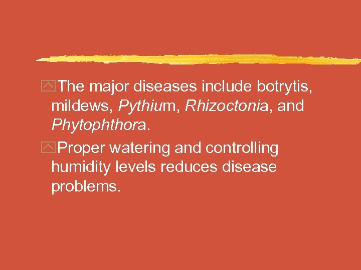 y. The major diseases include botrytis, mildews, Pythium, Rhizoctonia, and Phytophthora. y. Proper watering
