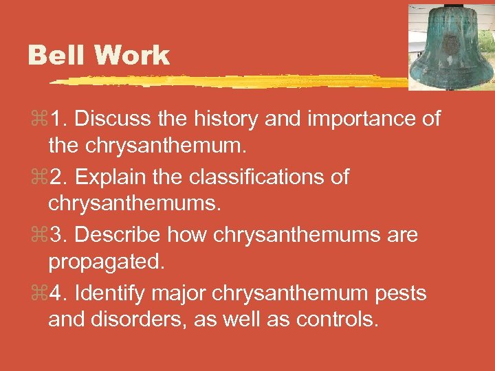 Bell Work z 1. Discuss the history and importance of the chrysanthemum. z 2.