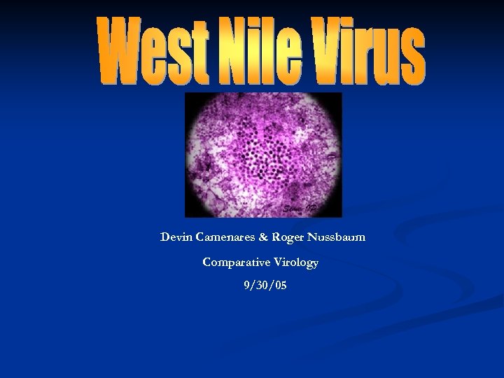 Devin Camenares & Roger Nussbaum Comparative Virology 9/30/05 