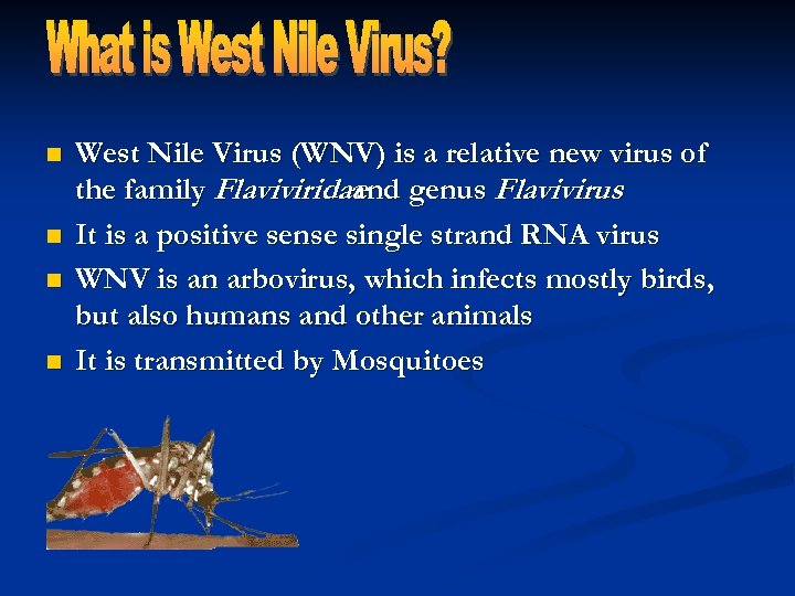 n n West Nile Virus (WNV) is a relative new virus of the family