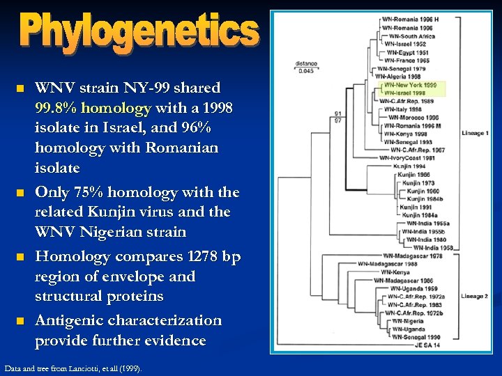 n n WNV strain NY-99 shared 99. 8% homology with a 1998 isolate in