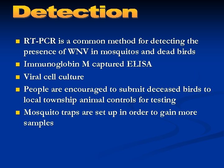 n n n RT-PCR is a common method for detecting the presence of WNV