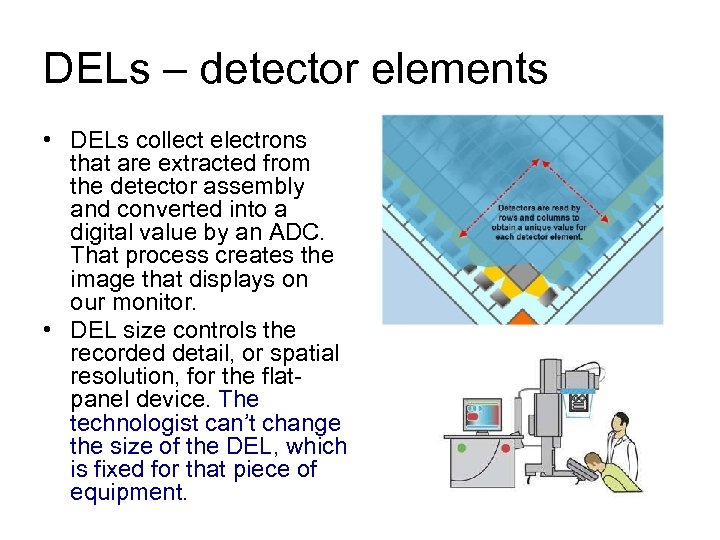 DELs – detector elements • DELs collect electrons • . that are extracted from
