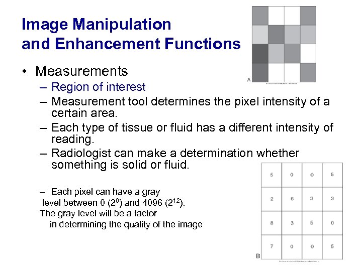 Image Manipulation and Enhancement Functions • Measurements – Region of interest – Measurement tool