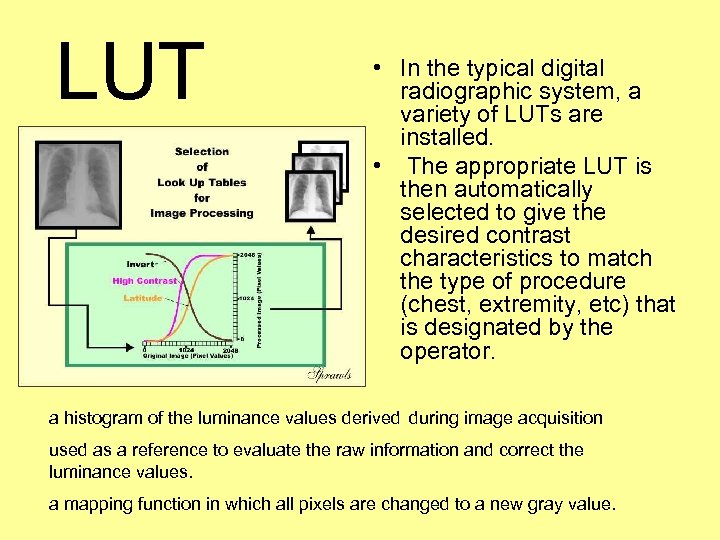 LUT • In the typical digital radiographic system, a variety of LUTs are installed.
