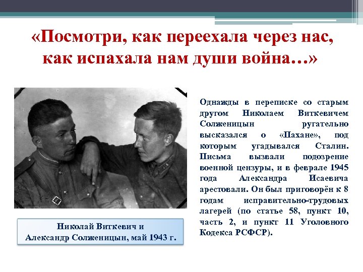  «Посмотри, как переехала через нас, как испахала нам души война…» Николай Виткевич и