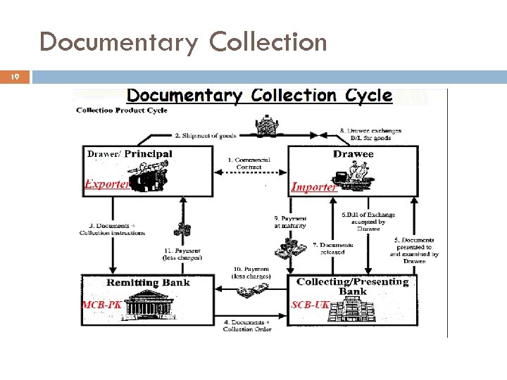 Documentary Collection 19 