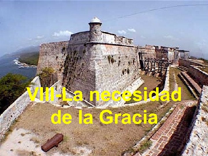 VIII-La necesidad de la Gracia 