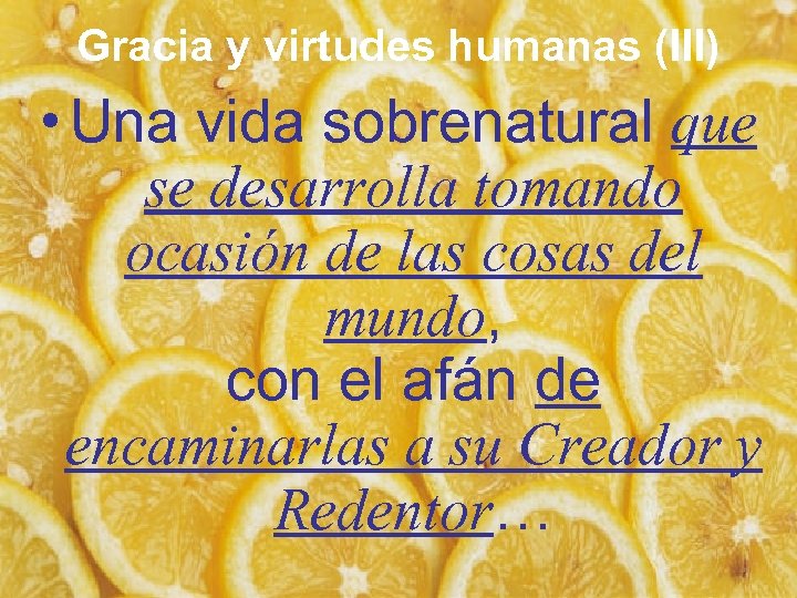 Gracia y virtudes humanas (III) • Una vida sobrenatural que se desarrolla tomando ocasión