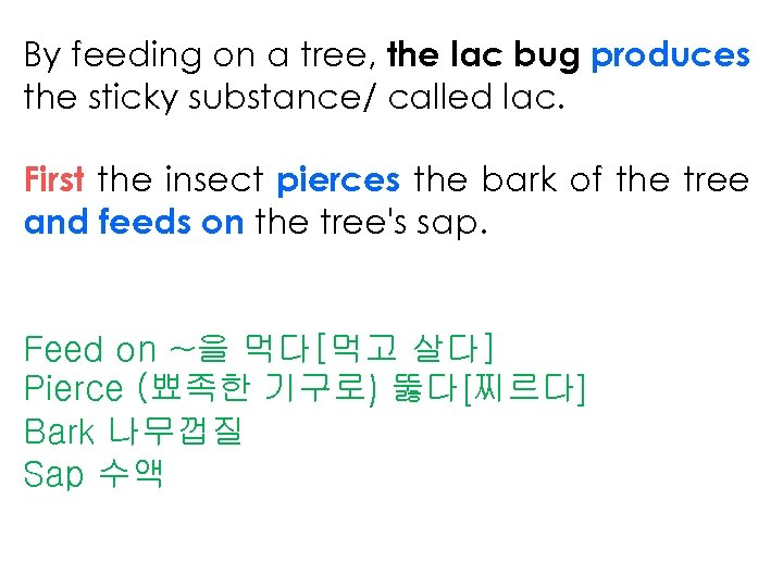 By feeding on a tree, the lac bug produces the sticky substance/ called lac.