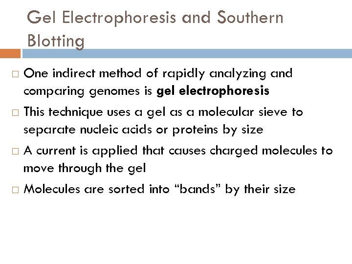 Gel Electrophoresis and Southern Blotting One indirect method of rapidly analyzing and comparing genomes