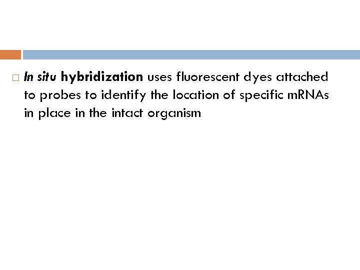  In situ hybridization uses fluorescent dyes attached to probes to identify the location