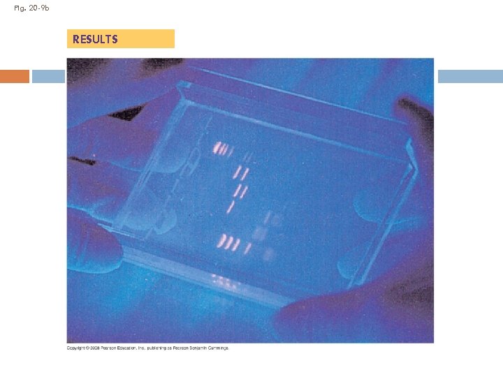 Fig. 20 -9 b RESULTS 