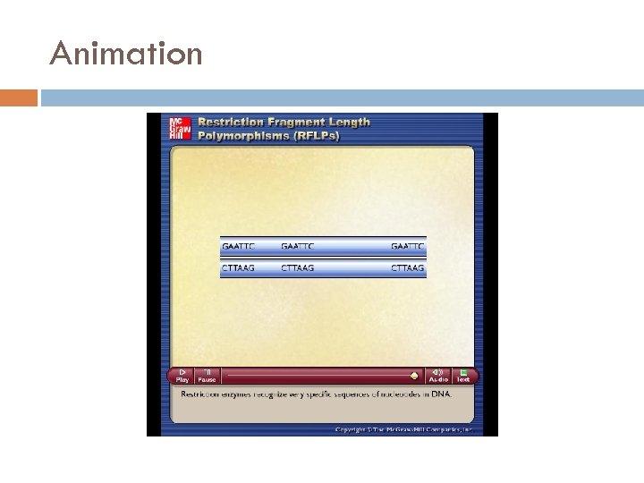 Animation Please note that due to differing operating systems, some animations will not appear