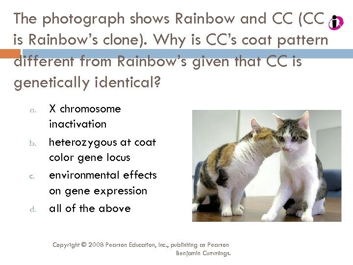 The photograph shows Rainbow and CC (CC is Rainbow’s clone). Why is CC’s coat