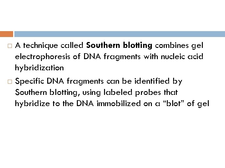 A technique called Southern blotting combines gel electrophoresis of DNA fragments with nucleic acid