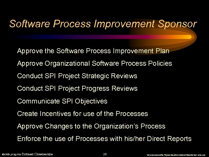 Software Process Improvement Sponsor Approve the Software Process Improvement Plan Approve Organizational Software Process