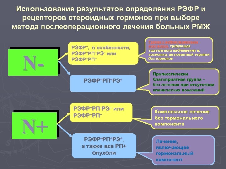 Использование результатов определения РЭФР и рецепторов стероидных гормонов при выборе метода послеоперационного лечения больных