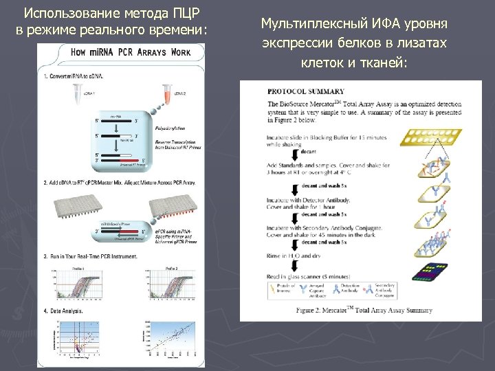 Использование метода ПЦР в режиме реального времени: Мультиплексный ИФА уровня экспрессии белков в лизатах