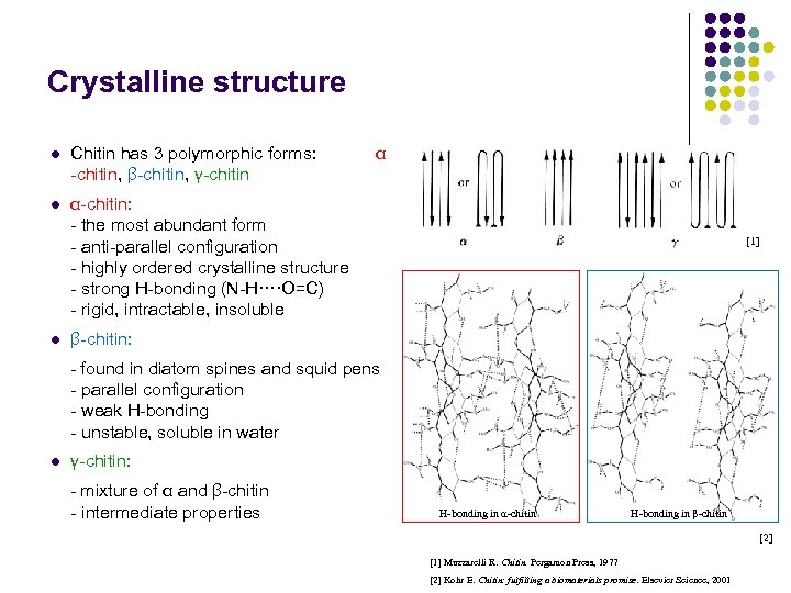 Crystalline structure l Chitin has 3 polymorphic forms: α -chitin, β-chitin, γ-chitin l α-chitin: