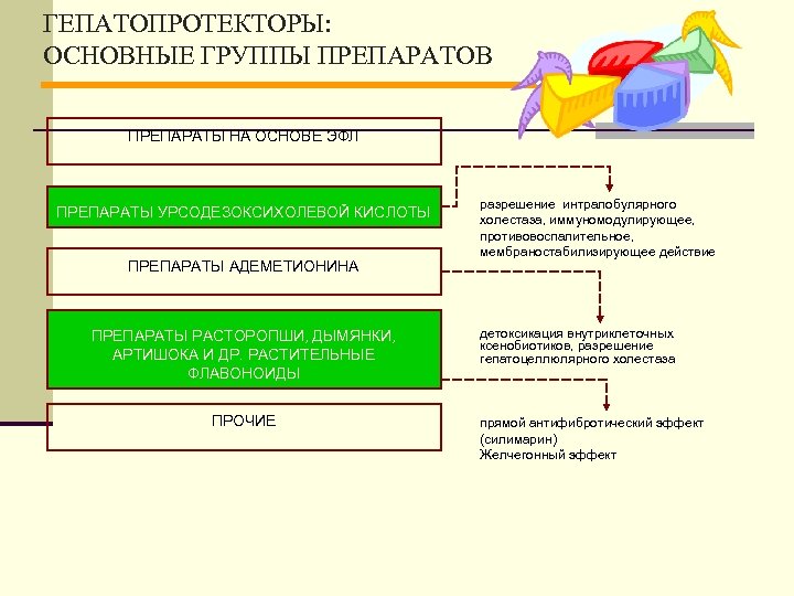 ГЕПАТОПРОТЕКТОРЫ: ОСНОВНЫЕ ГРУППЫ ПРЕПАРАТОВ ПРЕПАРАТЫ НА ОСНОВЕ ЭФЛ ПРЕПАРАТЫ УРСОДЕЗОКСИХОЛЕВОЙ КИСЛОТЫ ПРЕПАРАТЫ АДЕМЕТИОНИНА ПРЕПАРАТЫ