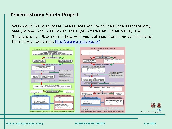 Tracheostomy Safety Project SALG would like to advocate the Resuscitation Council’s National Tracheostomy Safety