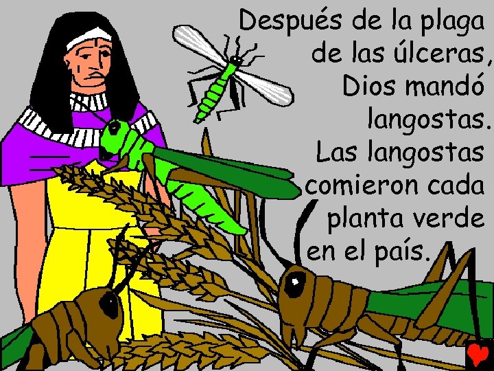 Después de la plaga de las úlceras, Dios mandó langostas. Las langostas comieron cada