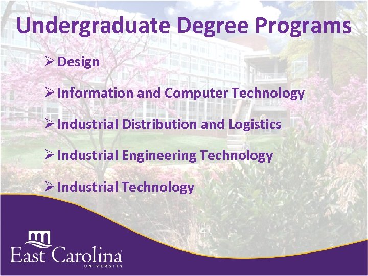 Undergraduate Degree Programs Ø Design Ø Information and Computer Technology Ø Industrial Distribution and
