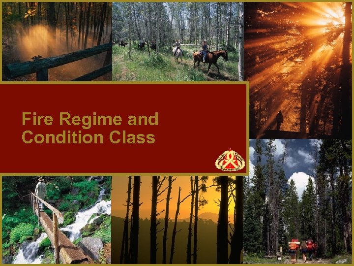 Fire Regime and Condition Class 