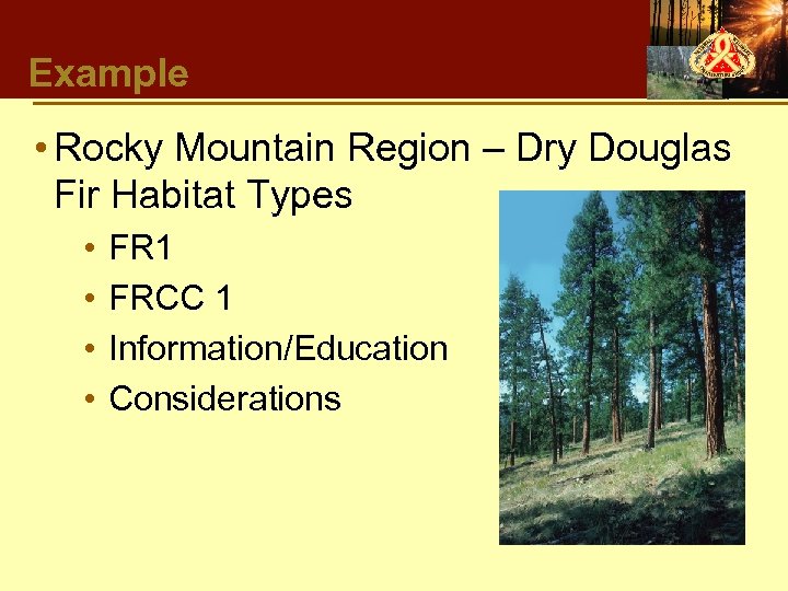 Example • Rocky Mountain Region – Dry Douglas Fir Habitat Types • • FR