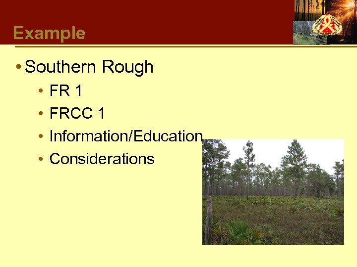 Example • Southern Rough • • FR 1 FRCC 1 Information/Education Considerations 