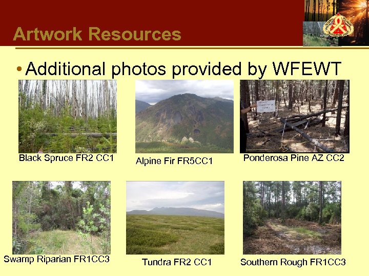 Artwork Resources • Additional photos provided by WFEWT Black Spruce FR 2 CC 1