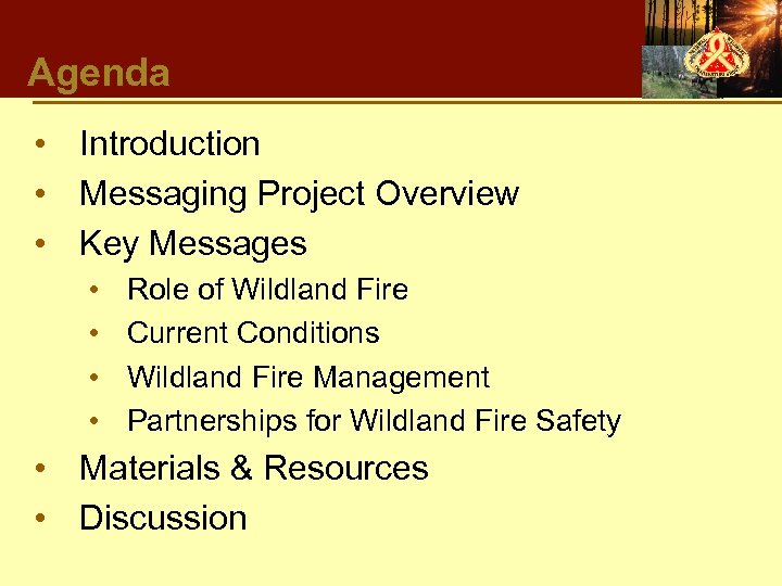 Agenda • Introduction • Messaging Project Overview • Key Messages • • Role of